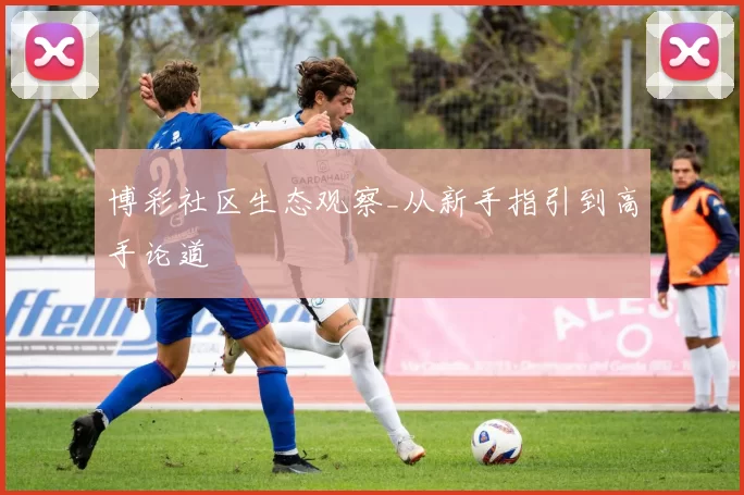 博彩社区生态观察_从新手指引到高手论道