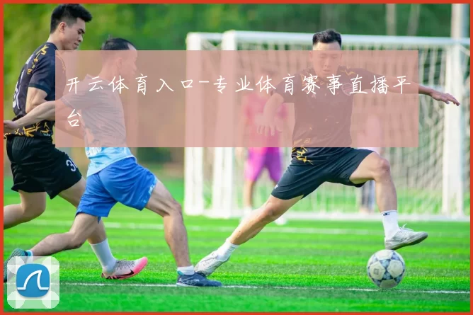 开云体育入口-专业体育赛事直播平台