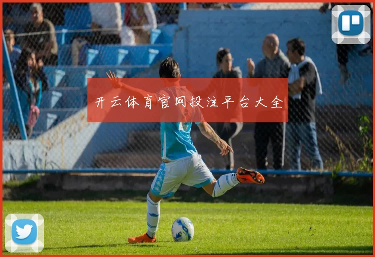 开云体育官网投注平台大全