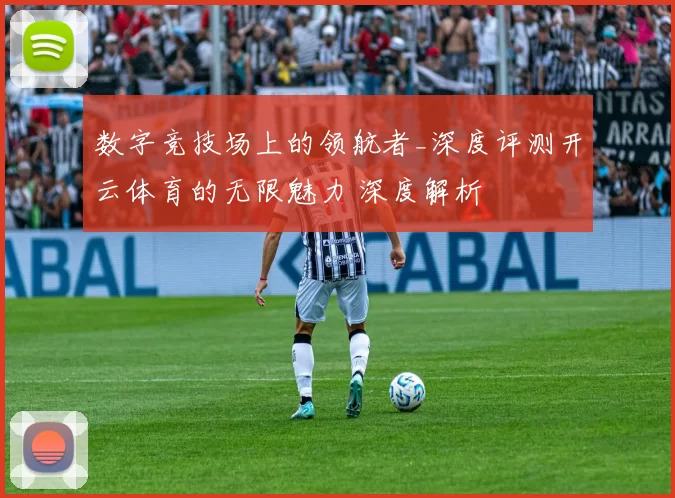 数字竞技场上的领航者_深度评测开云体育的无限魅力 深度解析