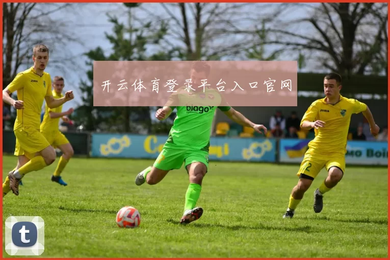 开云体育登录平台入口官网