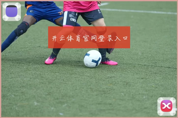 开云体育官网登录入口