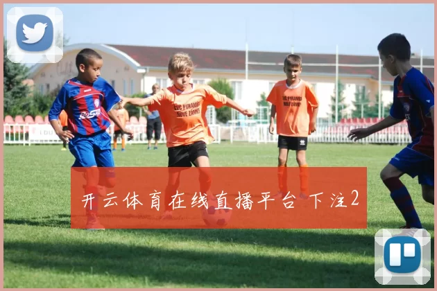 开云体育在线直播平台 下注2