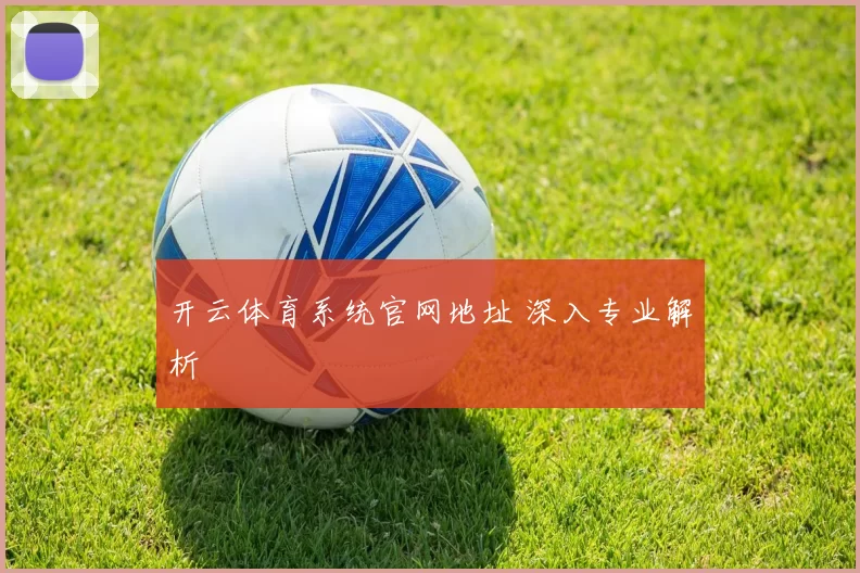 开云体育系统官网地址 深入专业解析