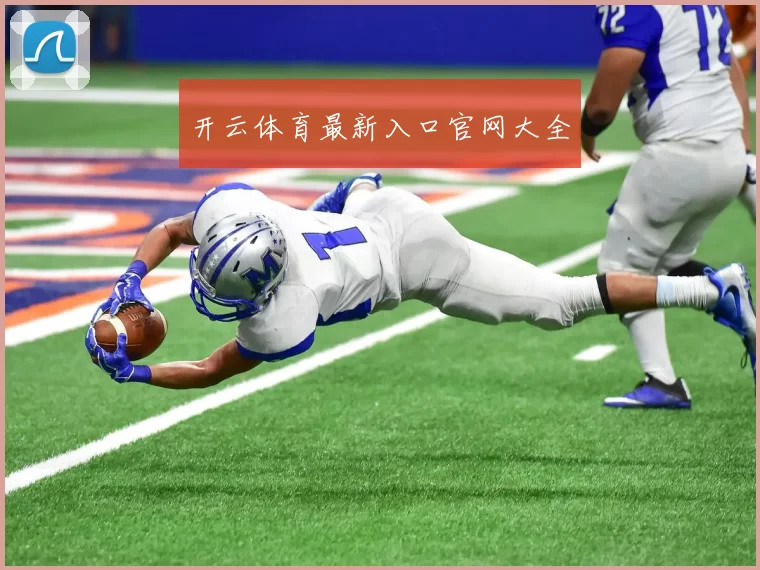 开云体育最新入口官网大全