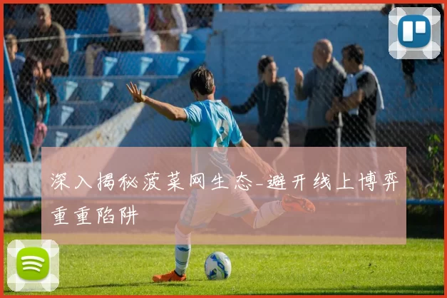 深入揭秘菠菜网生态_避开线上博弈重重陷阱
