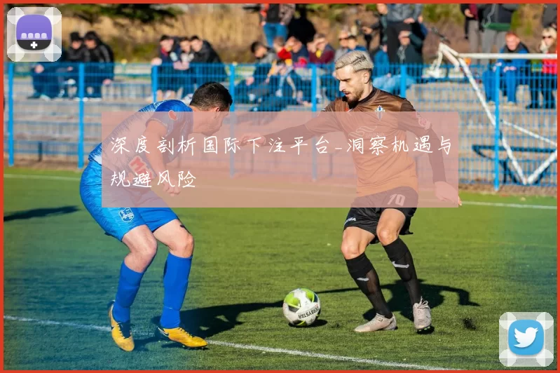 深度剖析国际下注平台_洞察机遇与规避风险