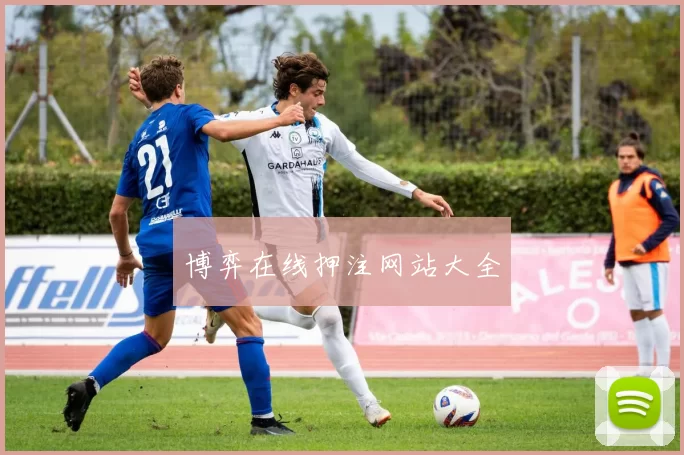 博弈在线押注网站大全