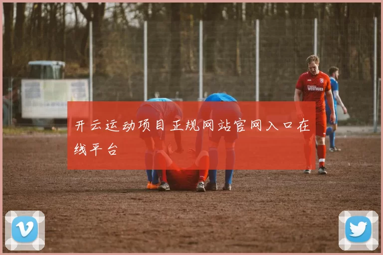 开云运动项目正规网站官网入口在线平台