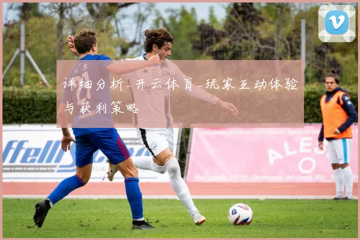详细分析_开云体育_玩家互动体验与获利策略