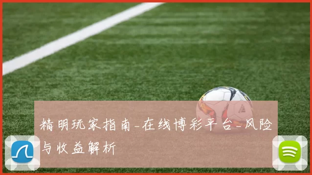 精明玩家指南_在线博彩平台_风险与收益解析