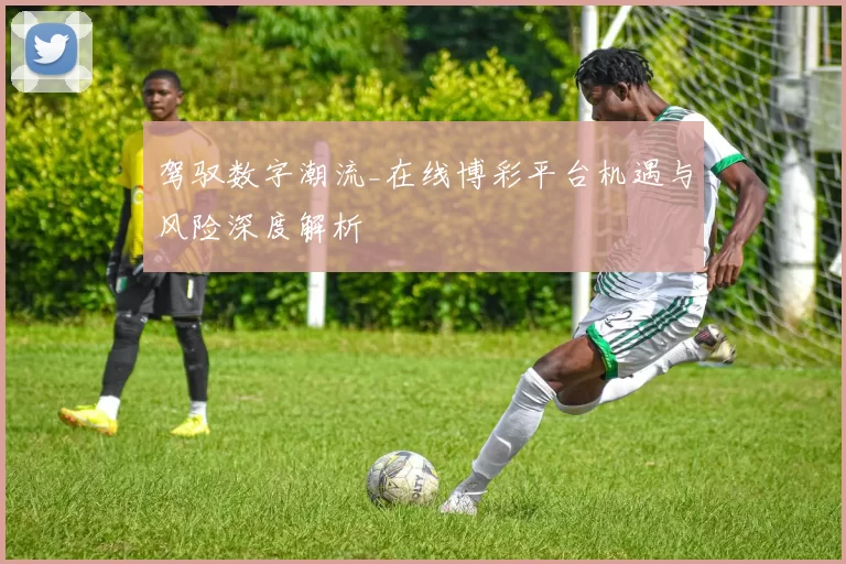 驾驭数字潮流_在线博彩平台机遇与风险深度解析