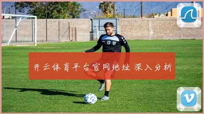 开云体育平台官网地址 深入分析