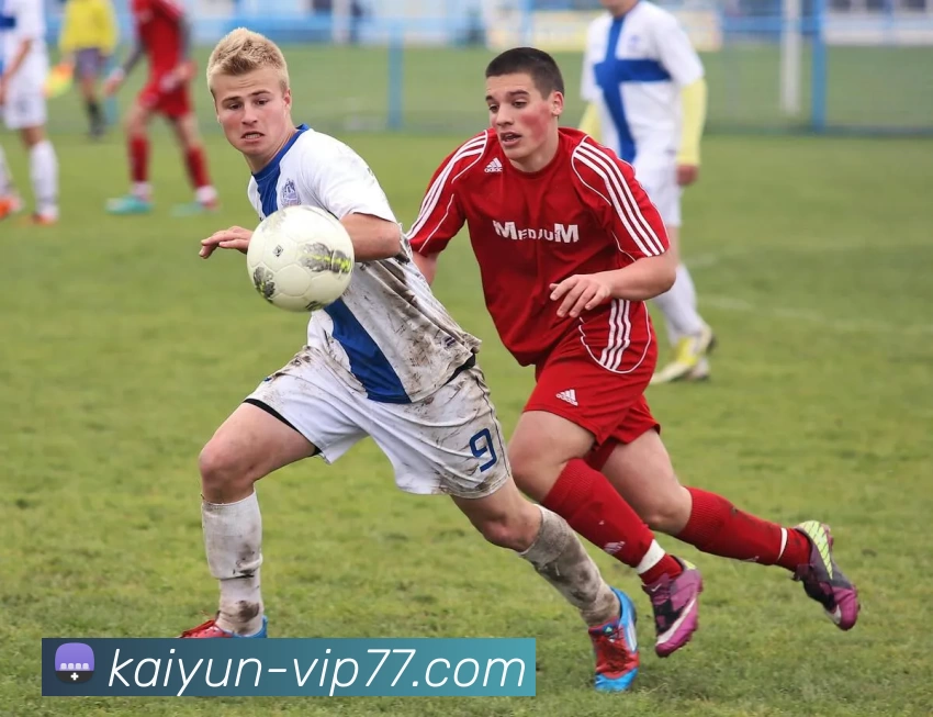 多媒体互动体验